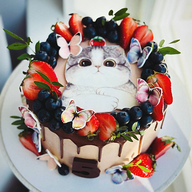 Торт "Котенок" купить - cаранск.сладкоежкин.рф